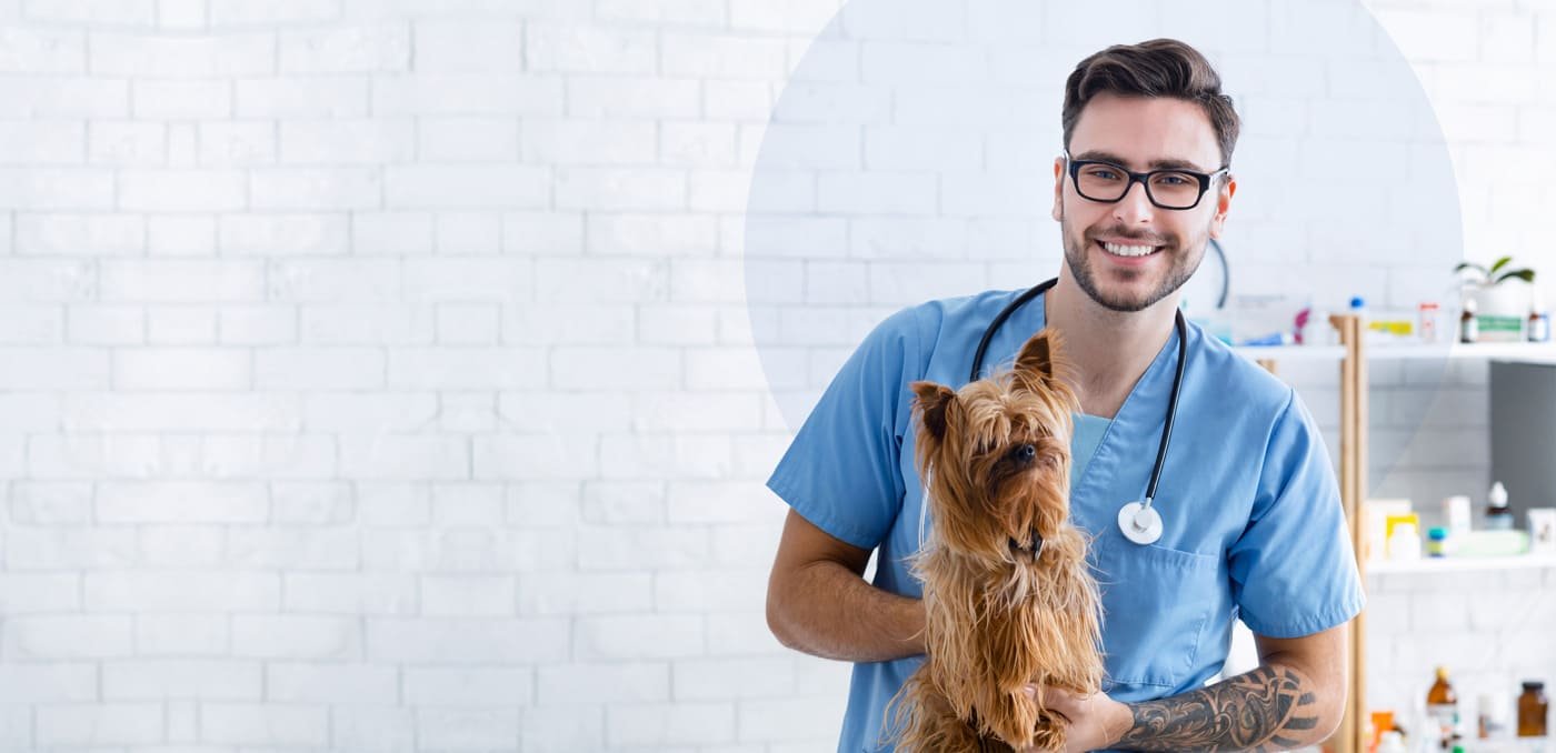 Professional Veterinary Platform You Can Trust