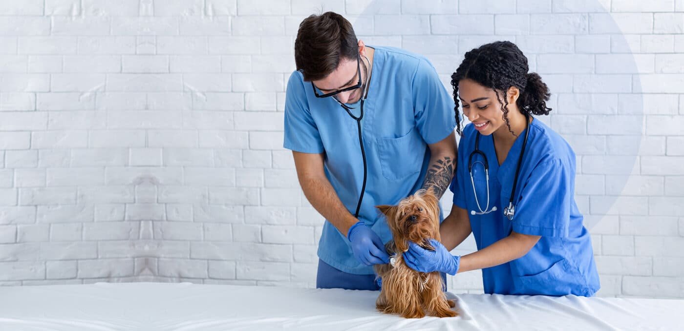 Professional Veterinary Platform You Can Trust